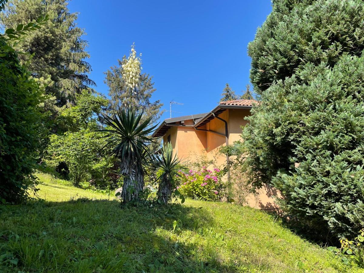 Appartamento Lake View Di Villa Giuliana スルツァーノ エクステリア 写真